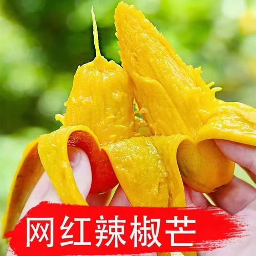 菀棫农业芒果报价及优质品种推荐 2025年价格与选购指南